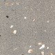 Pittiperla